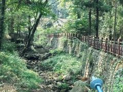 -素山寺森林公园