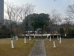 -映月湖中央公园