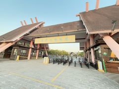 -野生动物园-停车场