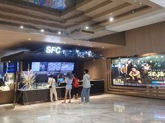 -SFC上影影城(港汇永华IMAX激光店)