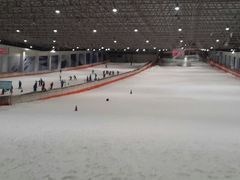 android_upload_pic-绍兴启迪乔波冰雪世界