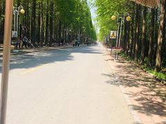 -日照海滨国家森林公园
