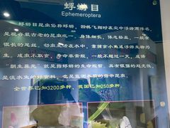 -上海昆虫博物馆