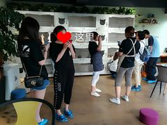 -东方名猫馆·英短金渐层布偶猫舍(环线广场1号楼店)