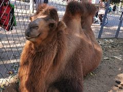 -长白岛森林公园