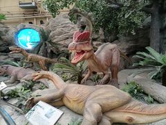 -国家自然博物馆