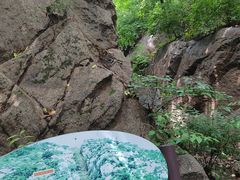 -大岭沟猕猴桃谷风景区