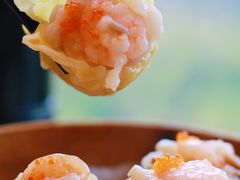五宝鱼籽烧麦-虾饺妹·酒家(海珠广场店)