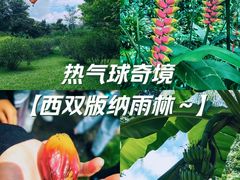 -中国科学院西双版纳热带植物园