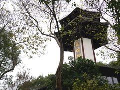 -上海佘山国家森林公园天马山园