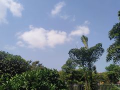 -文昌邓记清补凉(西沙路店)