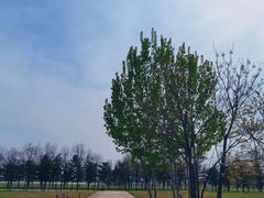 -汉长安城未央宫国家考古遗址公园