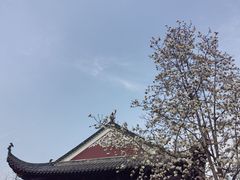 -长春观