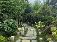 -慢丽江·云南野生菌土鸡锅(付家庄店)