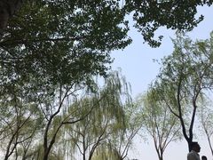 -丁香湖公园