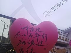 -溪岸路花鸟市场