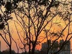 -艾溪湖湿地公园