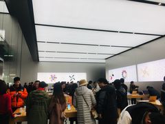 -Apple零售店(成都太古里店)