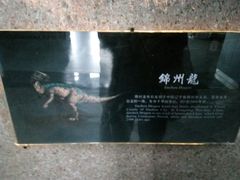 -中华赏石园