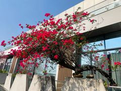 -寻味顺德·顺峰山庄(大良店)
