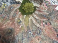 -桂马·日本料理·海胆·海鲜饭·酒场(民主广场店)