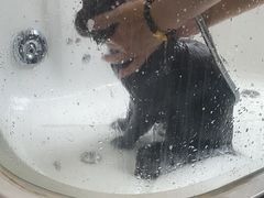 -佐罗家宠物馆·猫文化馆(紫霞路店)