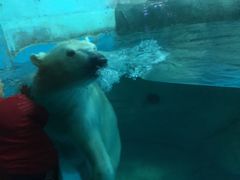 -泉城欧乐堡海洋极地世界