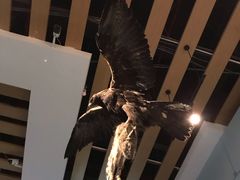 -青藏高原自然博物馆