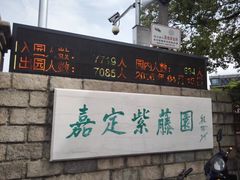 -嘉定紫藤园