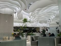 -大树餐厅(朝阳大悦城店)