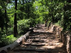 -阳台山自然风景区