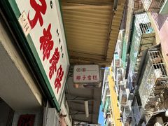 -洪馨椰子