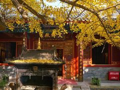 -八大处公园