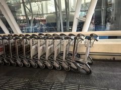 -广州白云国际机场-T1航站楼