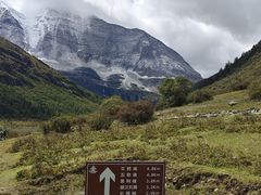 -稻城亚丁景区-冲古草甸