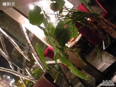 DSCN0336-唐廊烤鸭店(工体店)