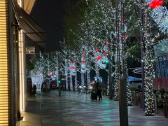 -蜀大侠火锅(总府路店)