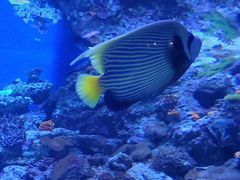 -成都浩海立方海洋公园