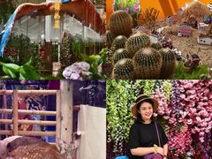 -正佳雨林生态植物园