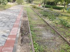 -永定河休闲森林公园