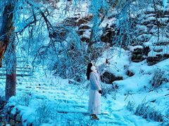 -叠溪松坪沟景区