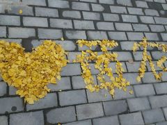 -西北农林科技大学(北校区)