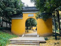 -苏州上方山国家森林公园