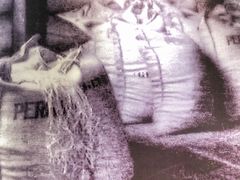 -星巴克(上海虹桥南丰城办公楼店)