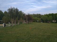 -爪吧宠物乐园 (温榆河示范区店)