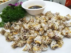 -小贝壳酒楼(经九路店)