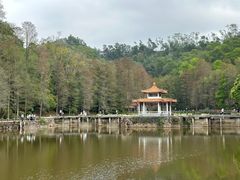 -深圳仙湖植物园