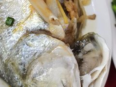 -蛇口康乐快餐鱼仔档(翠苑小区店)
