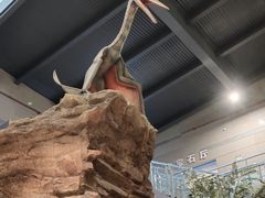 -湖南省地质博物馆