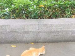 -广东财经大学(广州校区)